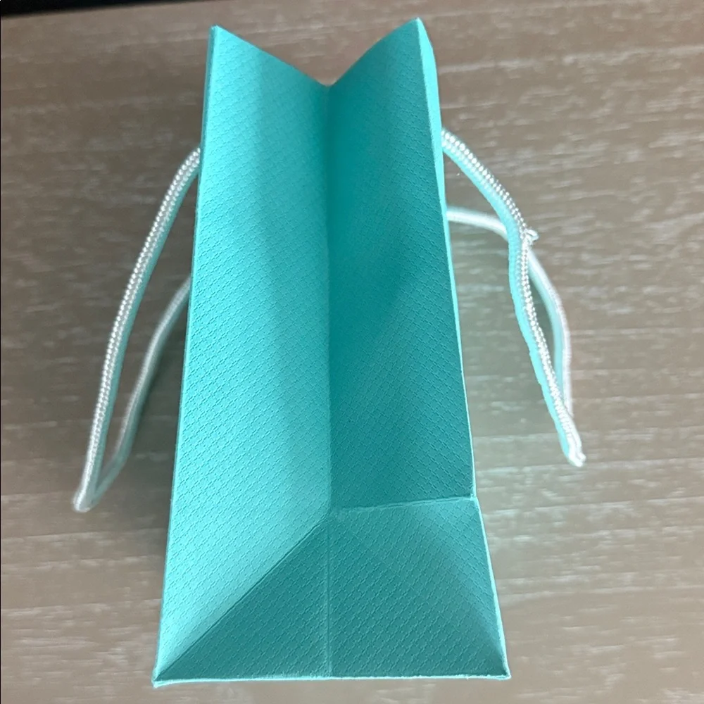 Tiffany & Co. Gift Bag with White Card
